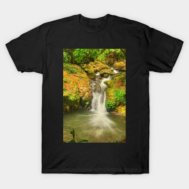 Bunyip Falls .. Portrait View T-Shirt by Michaelm43